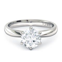 Verita Round Brilliant Engagement Ring in 18kt White Gold + PT setting